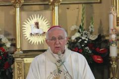 IMG_2349-Copy